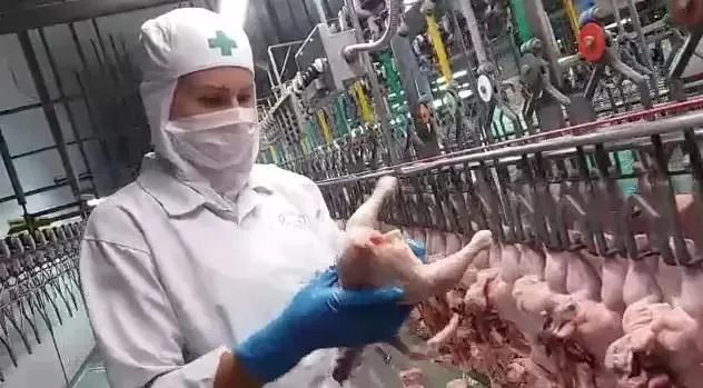 Governo visa ampliar adesão ao Sisbi-POA econtornar inflação dos alimentos