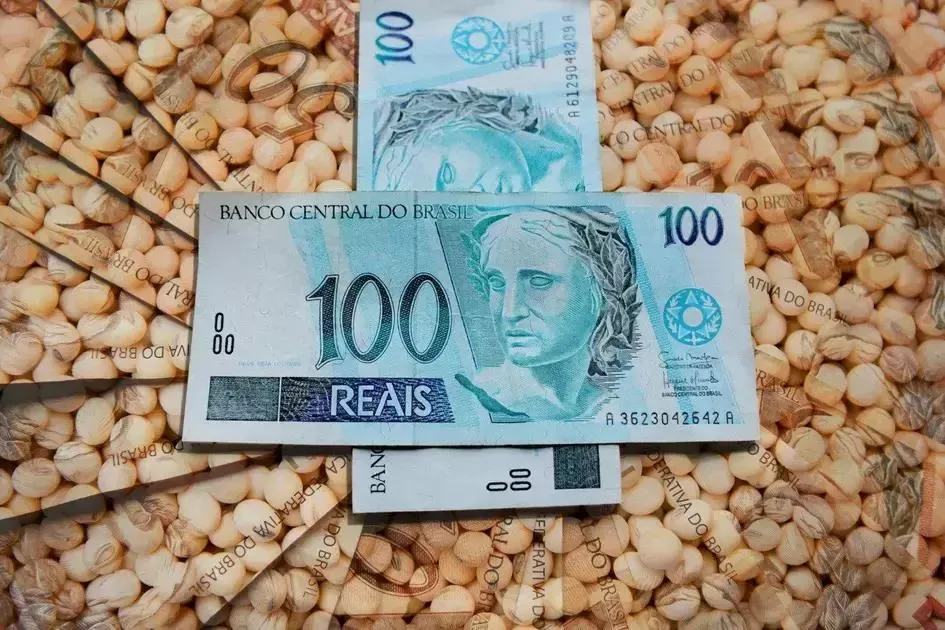 Alta nos preços da soja no Brasil: O que esperar do mercado?
