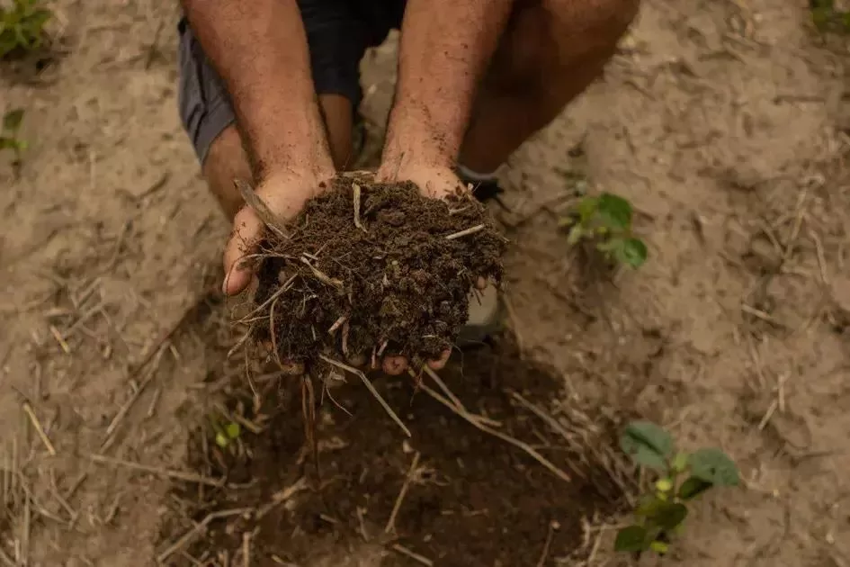 Brasil recebe primeiro laboratório agrícola voltado à saúde do solo