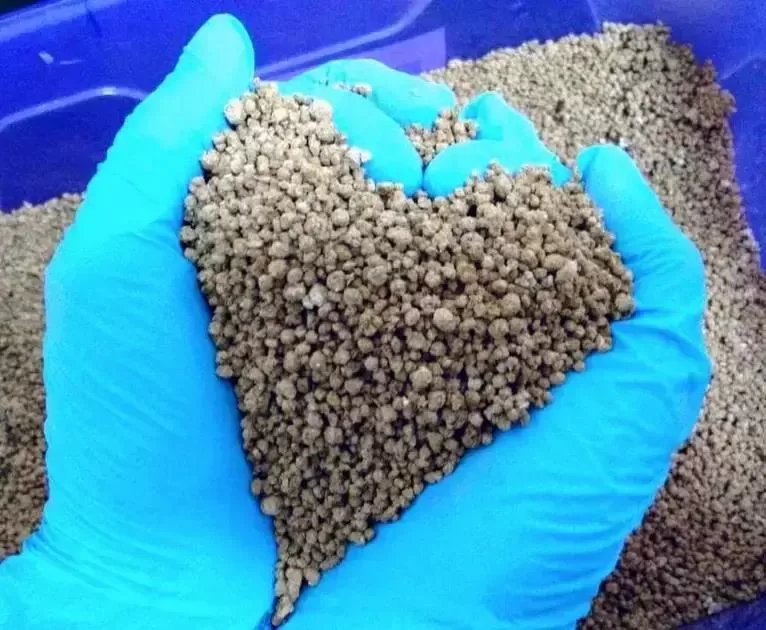 Desafios da agricultura brasileira: a pressão dos fertilizantes para 2025