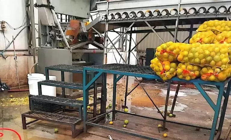 Fábricas de suco fechadas em SP devido a condições sanitárias