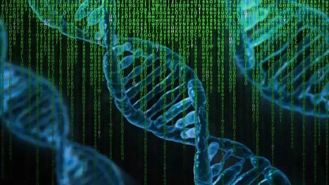 Gravidade: Pode o Universo Ser um Imenso Computador?