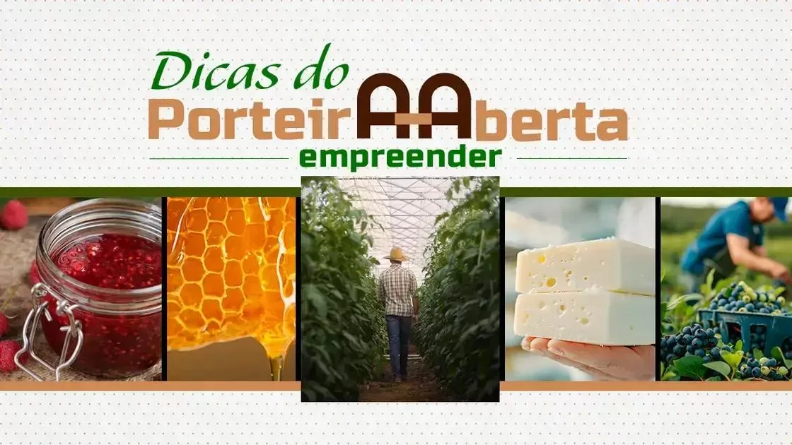 Produtora rural transforma propriedade em destino de turismo e inovação