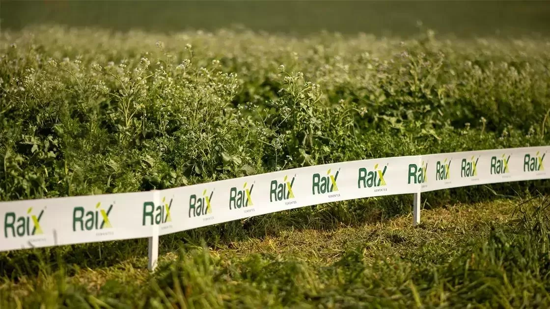 Raíx BioSoluções: Inovação que Transforma a Agricultura Brasileira